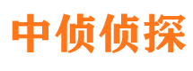 山南市侦探调查公司